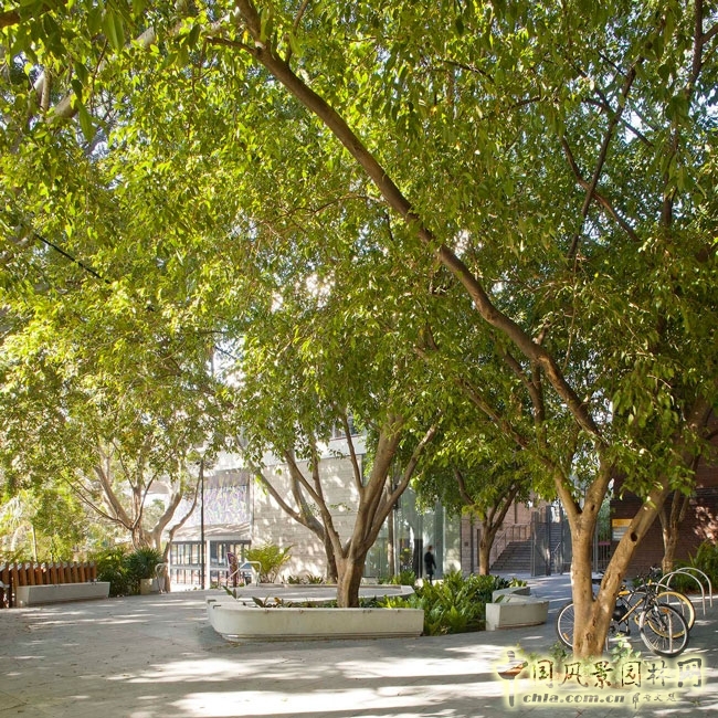 澳大利亞悉尼納皮爾大街公共空間景觀設計