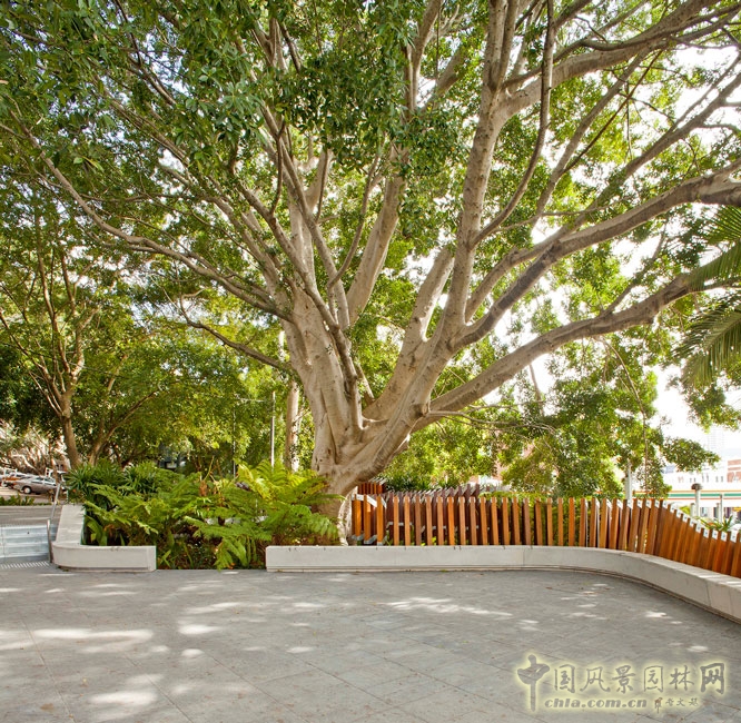 澳大利亞悉尼納皮爾大街公共空間景觀設計