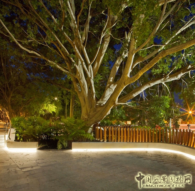 澳大利亞悉尼納皮爾大街公共空間景觀設計