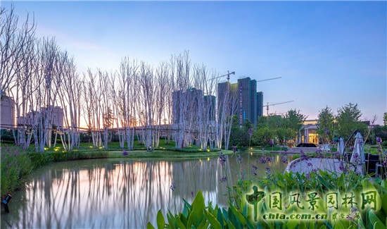 平和優雅的人居美 藍調國際項目展示