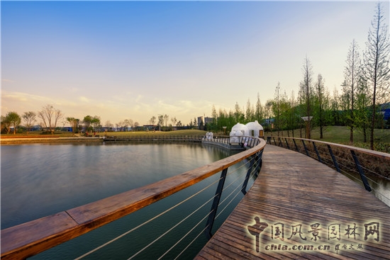 平和優雅的人居美 藍調國際項目展示