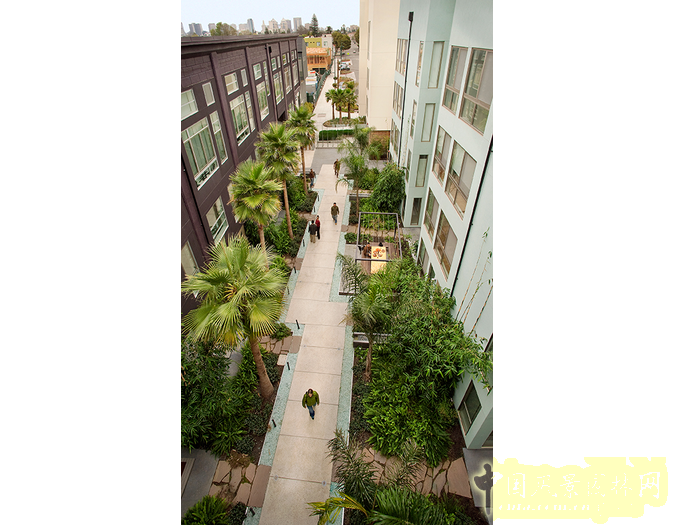 美國景觀大師杰弗里·米勒將出席園冶高峰論壇