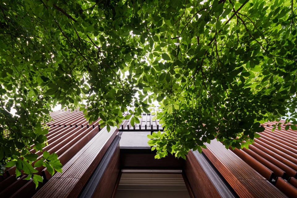 泰國(guó)：高速路旁的鄉(xiāng)土風(fēng)格開(kāi)放型城市公園