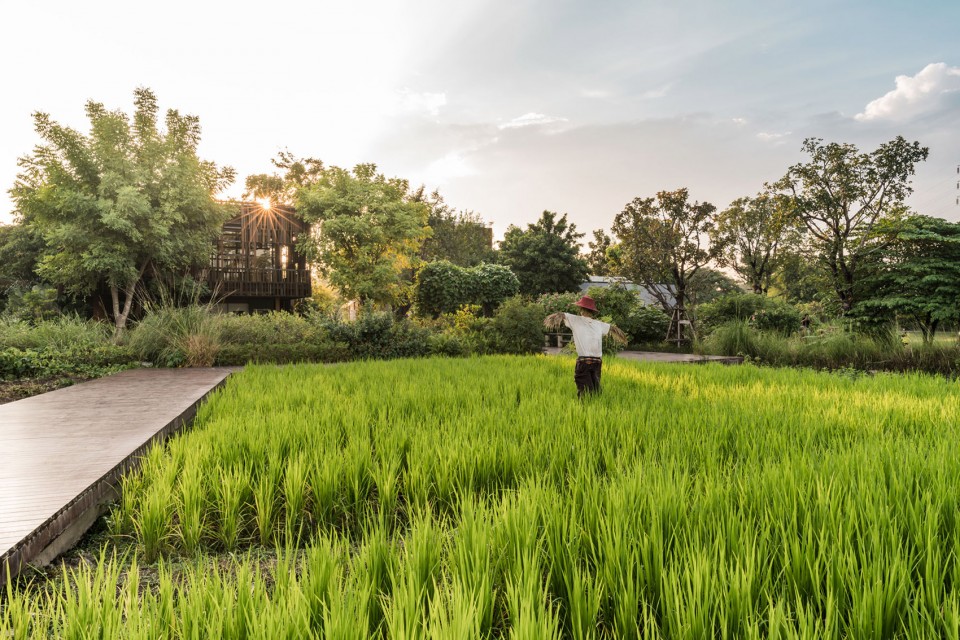 泰國：高速路旁的鄉土風格開放型城市公園