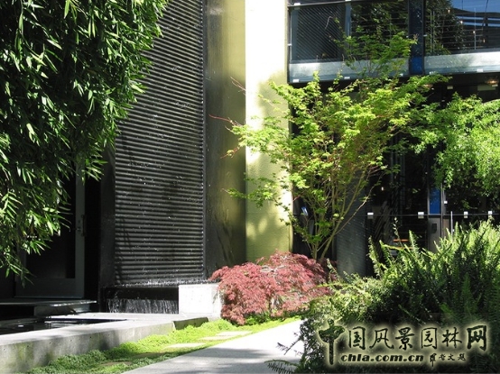 杰弗里·米勒：誒默里維爾閣樓景觀設計