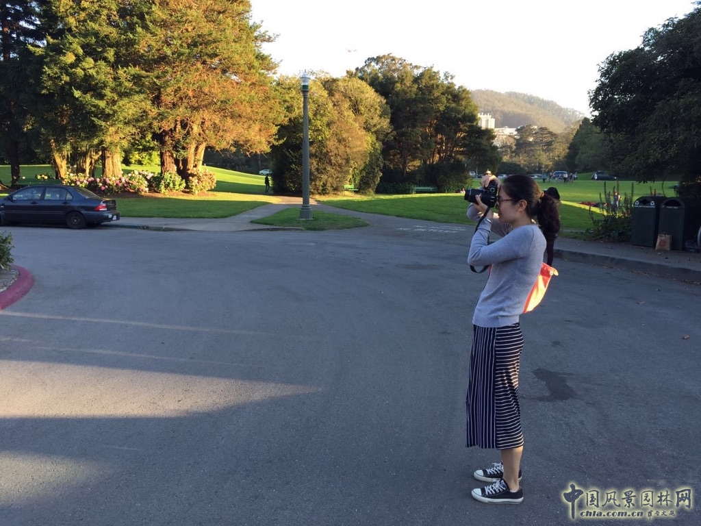 北京林業大學2016風景園林規劃設計論壇