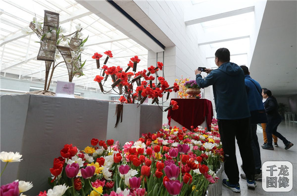 國泰郁金香首次亮相中國園林博物館