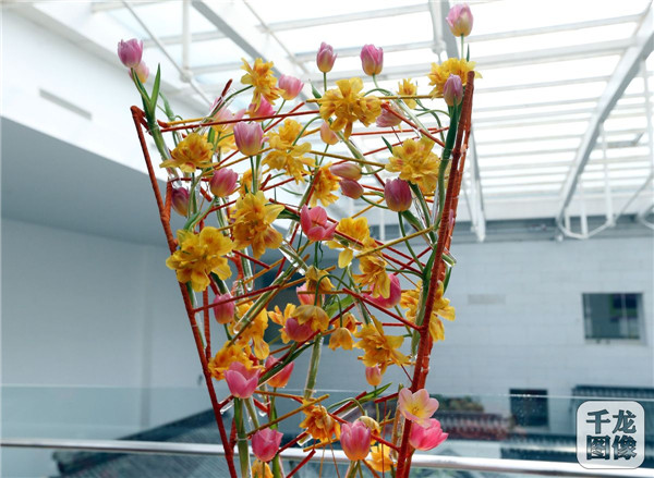 國(guó)泰郁金香首次亮相中國(guó)園林博物館