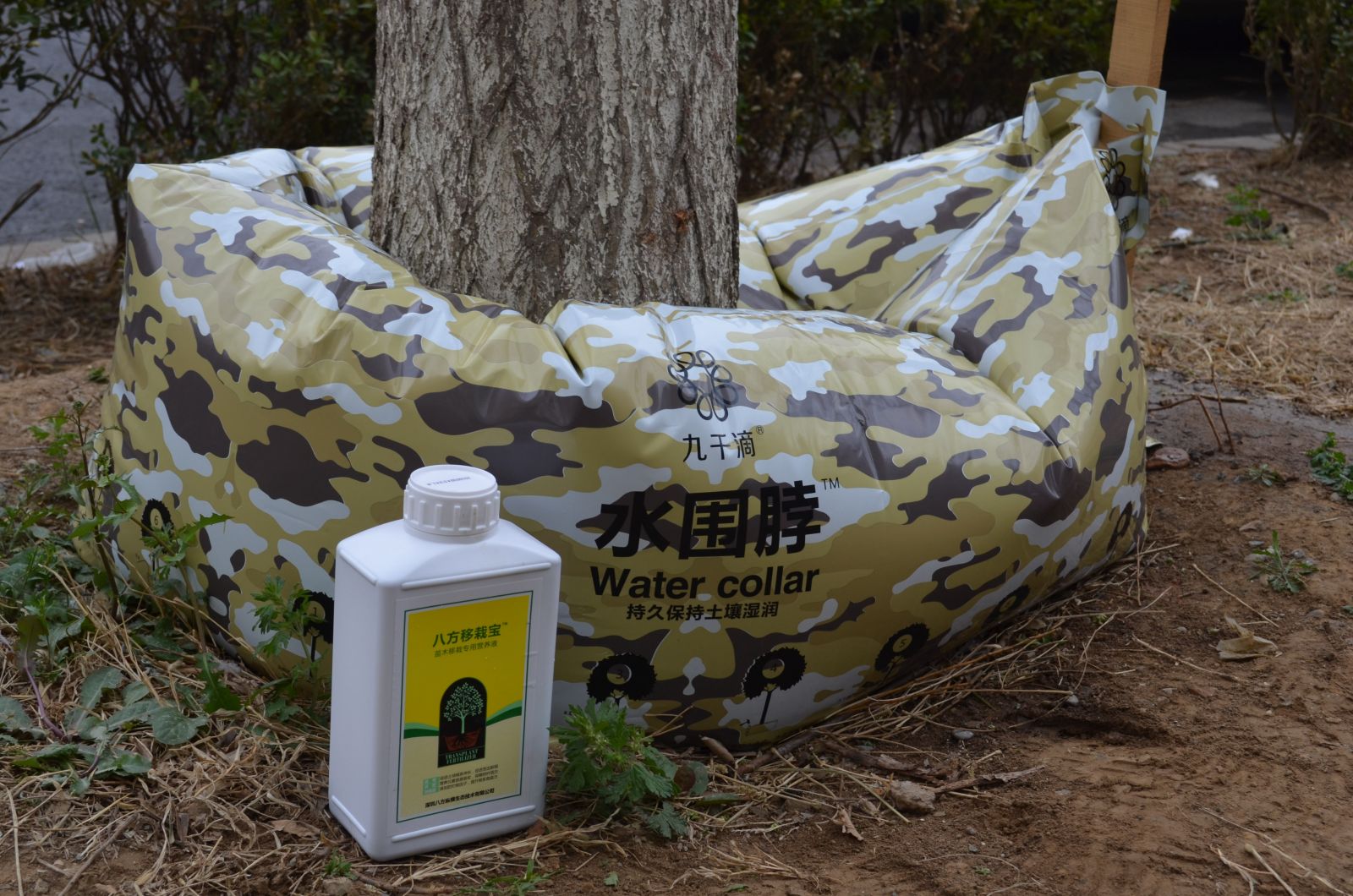 諾普信"樹木全冠移栽新技術"亮相高峰論壇