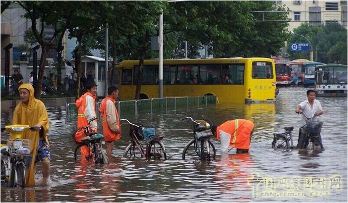 成玉寧:因地制宜的海綿城市理論與實踐