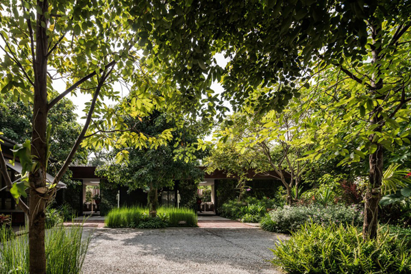 泰國：Ming Mongkol綠色公園