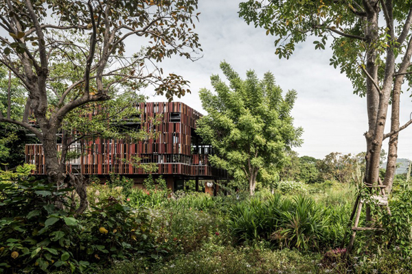 泰國：Ming Mongkol綠色公園