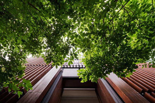 泰國：Ming Mongkol綠色公園