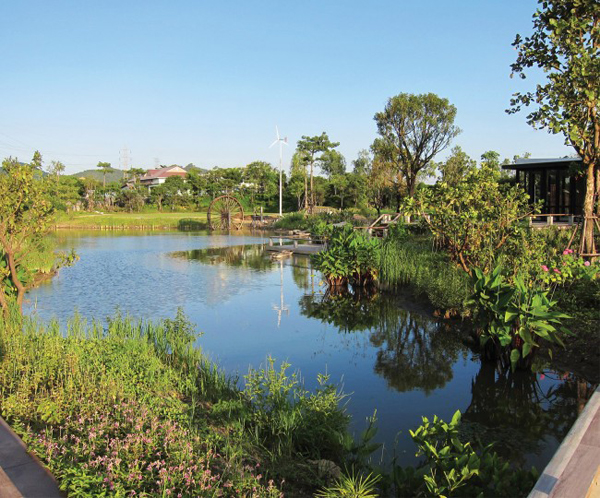 泰國：Ming Mongkol綠色公園