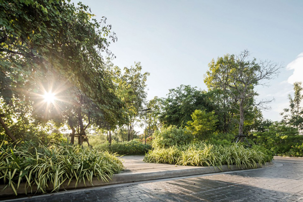 泰國：Ming Mongkol綠色公園