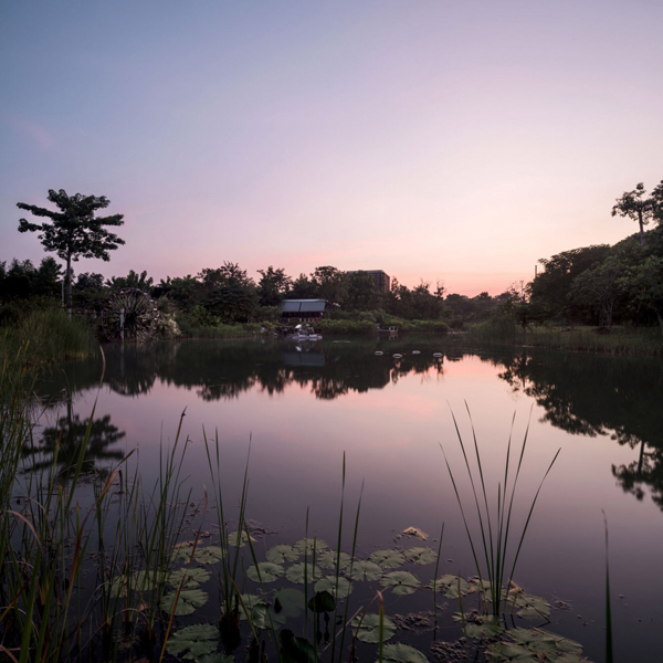 泰國：Ming Mongkol綠色公園