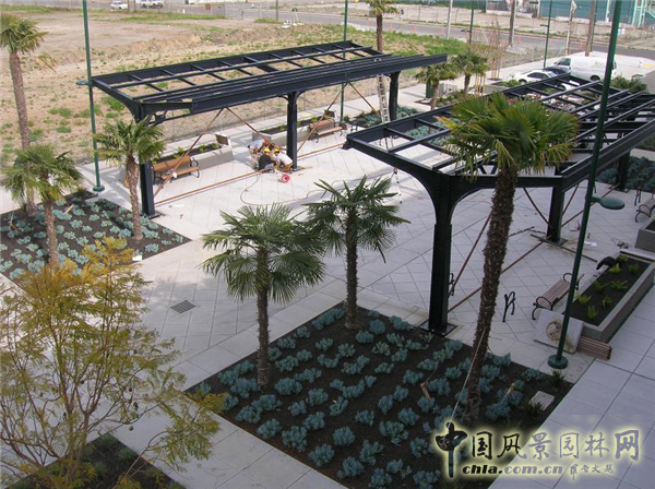 杰弗瑞?米勒:宜居城市中的綠色參與和可持續發展戰略