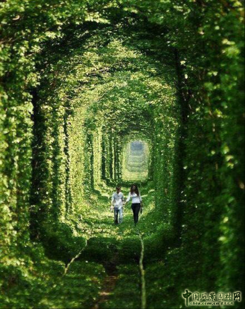 胡海波:探尋莫奈的足跡——理想瀾灣主題景觀營造