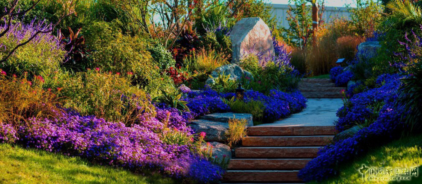 胡海波:探尋莫奈的足跡——理想瀾灣主題景觀營造