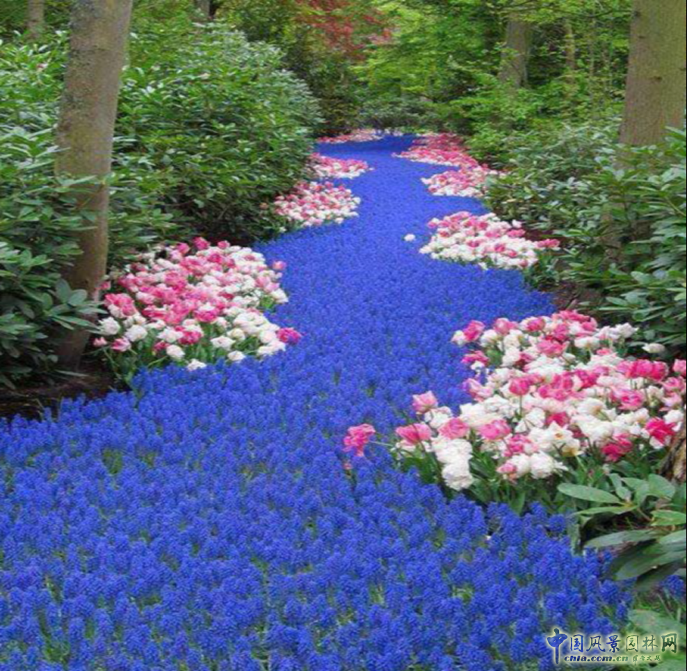 胡海波:探尋莫奈的足跡——理想瀾灣主題景觀營造