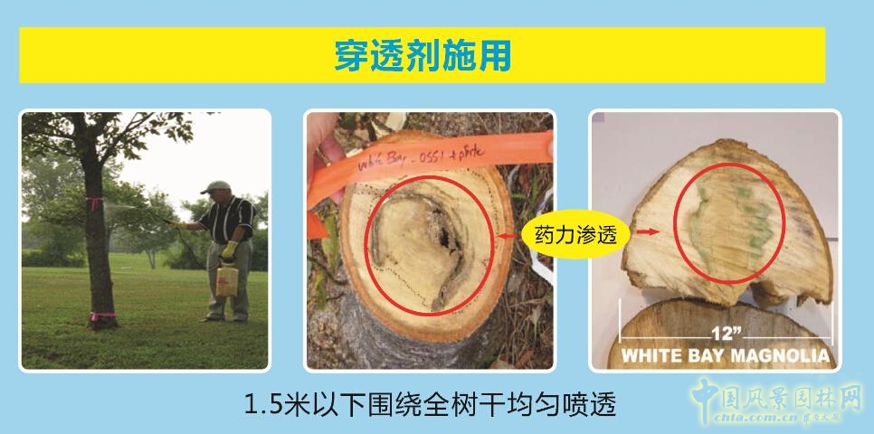 諾普信參加第18屆中國國際花卉園藝展覽會完美收官