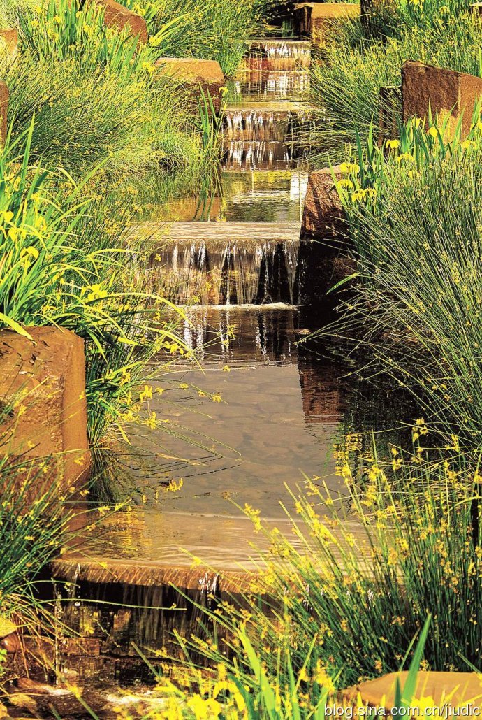 羅青:經(jīng)典美國城市環(huán)境中的雨水管理設(shè)計