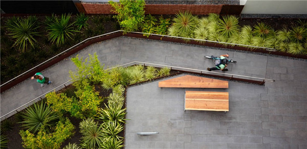 2015ASLA住宅設計類榮譽獎:300Ivy