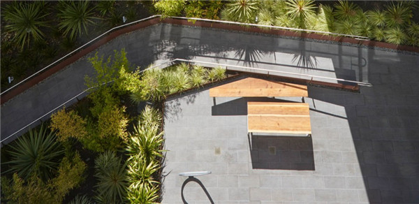 2015ASLA住宅設計類榮譽獎:300Ivy