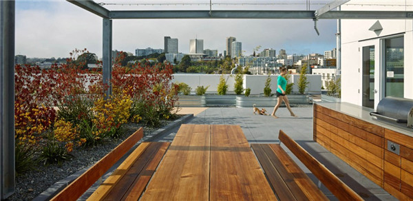 2015ASLA住宅設計類榮譽獎:300Ivy