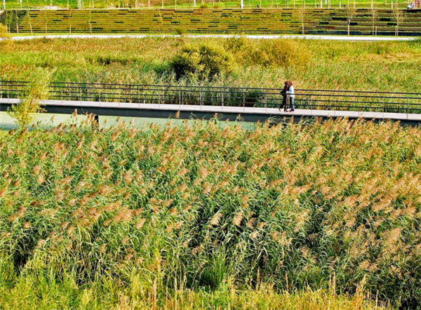 西班牙坎塔布裏亞桑坦德濕地公園