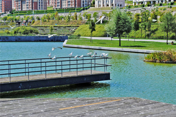 西班牙坎塔布裏亞桑坦德濕地公園