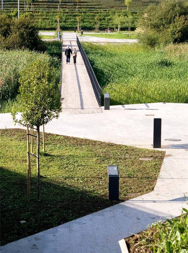 西班牙坎塔布裏亞桑坦德濕地公園