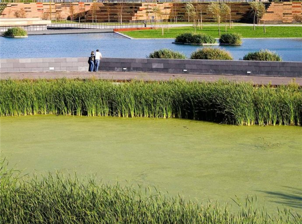 西班牙坎塔布裏亞桑坦德濕地公園