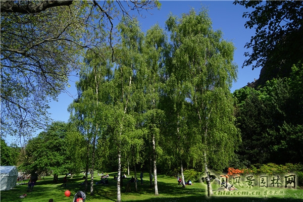 “靜心的游憩”——愛丁堡王子街公園