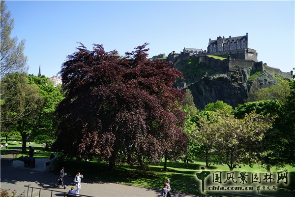 “靜心的游憩”——愛丁堡王子街公園