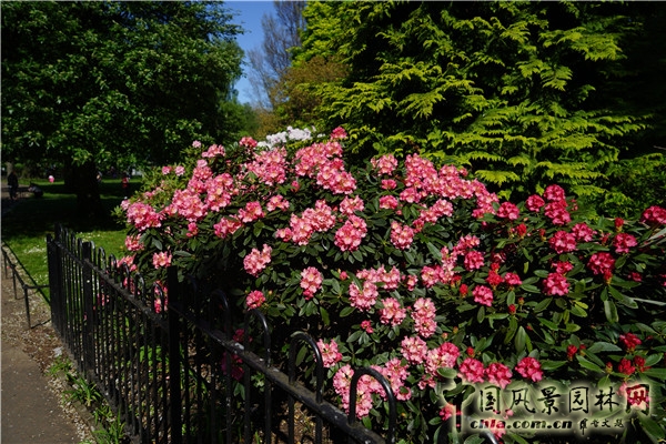 “靜心的游憩”——愛丁堡王子街公園