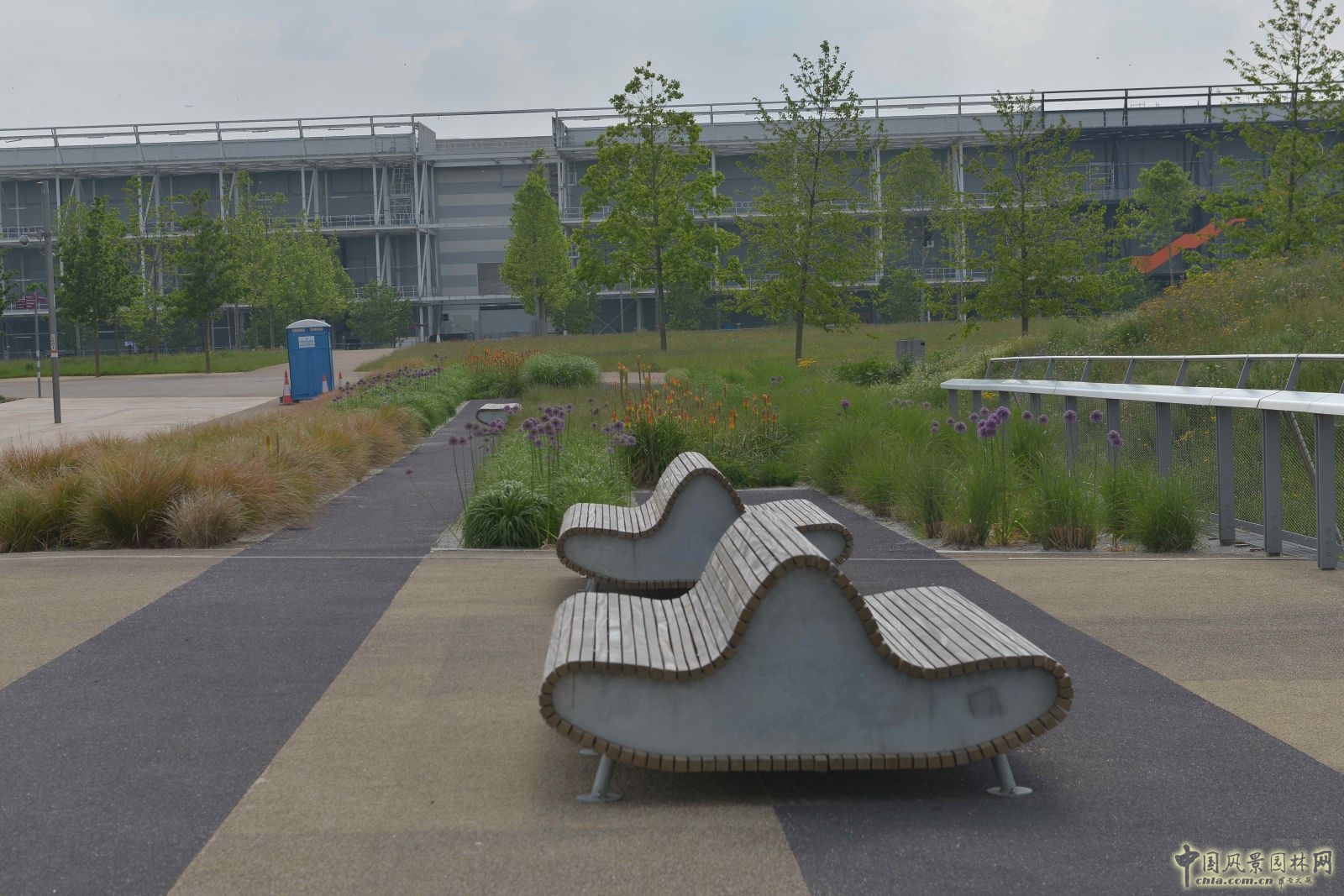 城市公園中的野花草甸——倫敦奧林匹克公園