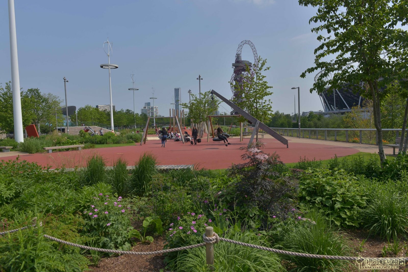 城市公園中的野花草甸——倫敦奧林匹克公園