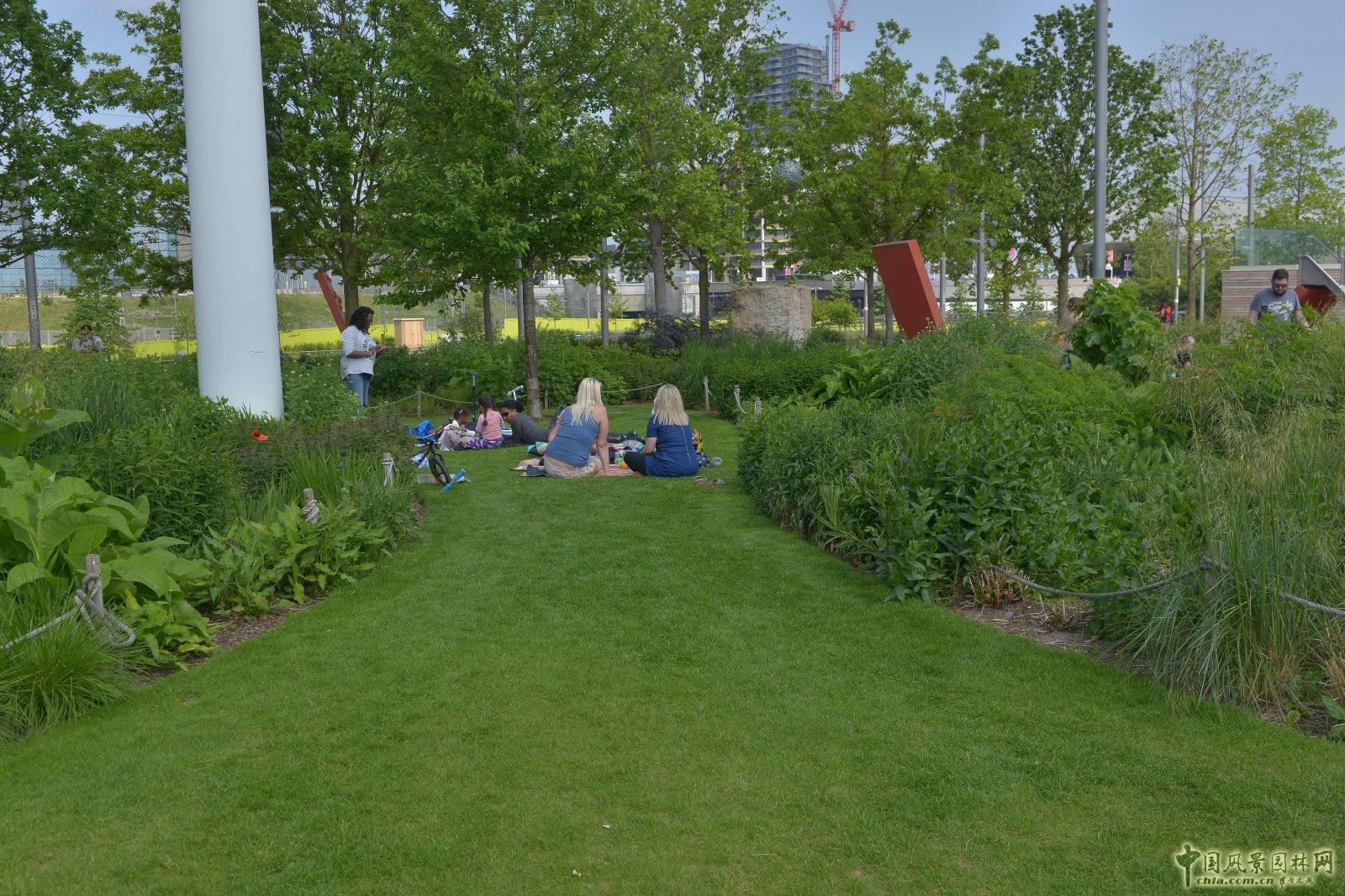 城市公園中的野花草甸——倫敦奧林匹克公園