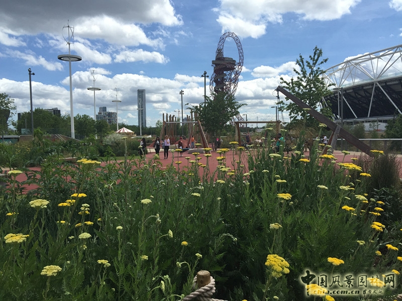 城市公園中的野花草甸——倫敦奧林匹克公園