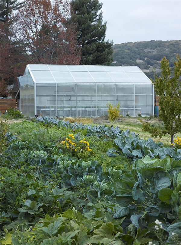 為成年自閉癥患者打造的全功能小區(qū)