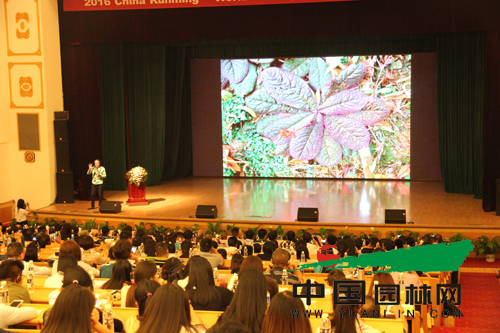 帕特里克·伯蘭克:垂直花園在全世界的新體會