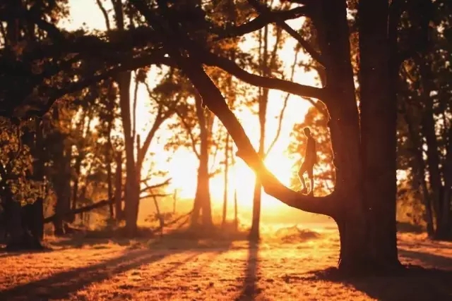 如何成為園林工程領(lǐng)域的1%