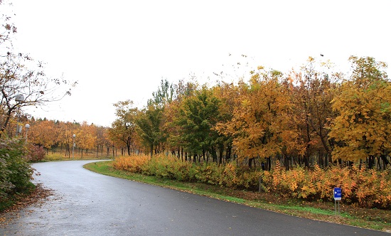 奧林匹克森林公園四標段景觀設計