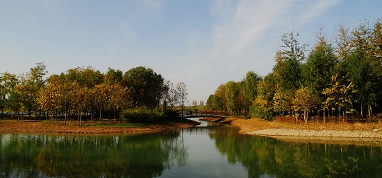奧林匹克森林公園四標段景觀設計