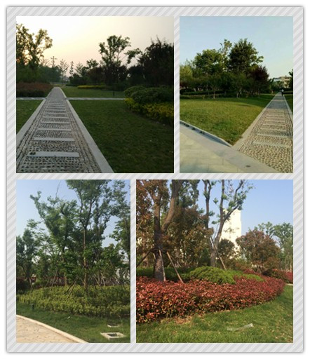 華藝生態喜獲2015年城鎮園林綠化精品示范工程