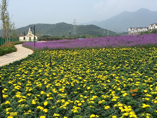 北京·懷柔燕城小鎮(zhèn)規(guī)劃項目賞析