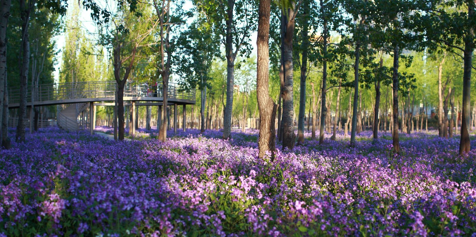 萬(wàn)科青青林趣園規(guī)劃設(shè)計(jì)賞析