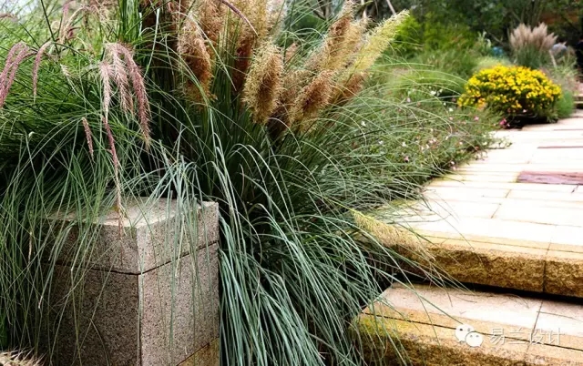 ECOLAND易蘭:成都麓湖紅石公園景觀設(shè)計