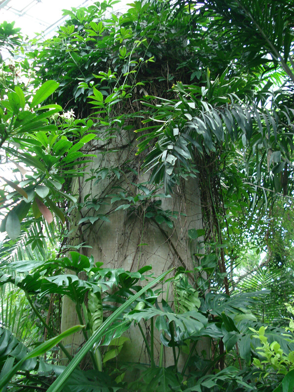 南京林業(yè)大學(xué)風(fēng)景園林學(xué)院社會實踐活動（一）